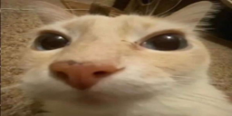 seventv_01GYT25QT8000DVPJKHH13026T