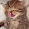 eeping emote