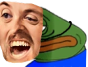 LULEiguess emote