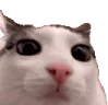 plinkplosion emote