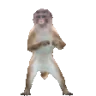 monkeyDance emote