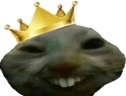 xddking emote