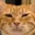 :3