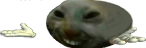 xddshrug2 emote