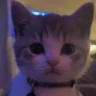 picklez emote