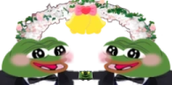 vaderpentaWedding emote