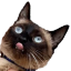 BLEPW