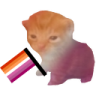 RobertLesbian emote