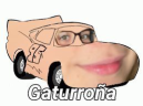 Gaturrona emote