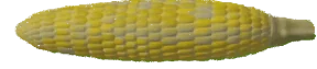COB emote
