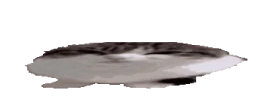 widewawa emote