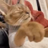 skip emote