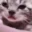 Emote