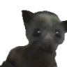 BatJam emote