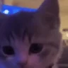 wink emote