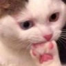 Nervous emote