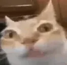 Erm