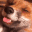 eepyFTfoxo