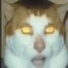 catVibe emote