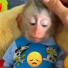 :(( emote