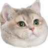 HeavyBreathing emote
