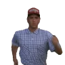 runForestrun emote