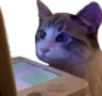 !r emote
