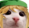 linkk emote