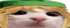 link emote