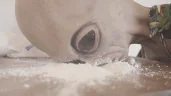 COCA emote