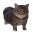 Emote