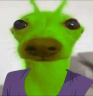Glorp emote