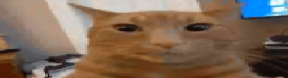 micaaaaaaaaaaaaara emote