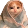 catblanket emote