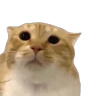 moo emote