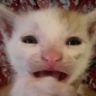 BUAAA emote