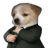 businessDog emote