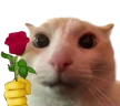 patiamor emote