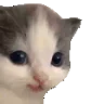 tehehe emote