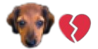 idiot emote