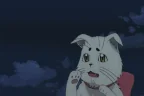Catplex emote