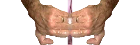 nyanse emote