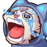 PokattoCry emote