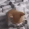 dubstepcat emote