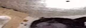 TO emote