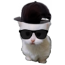 LilEwp emote