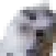 miniErm emote