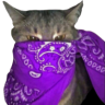 cuh emote