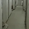 BaileTomas emote