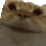 MaybeMaybe emote
